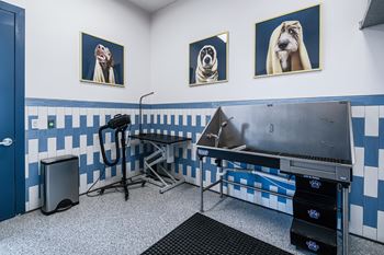 Suds (pet spa)